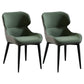 Nordic Style Metal Armless Dining Chairs Wingback Side Chair for Home Use Blackish Green 2 Piece Set Clearhalo ' kitchen&dining_furn' 'Dining Chairs' 'Dining Tables & Seating' 'dining_chair' 'furn' 'furn_dining_chair' 'Furniture' 'furniture_dining_chair' 'Kitchen & Dining Furniture' 'kitchen' 3754874