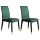 Industrial Restaurant Leather Side Chair Matte Finish Solid Back Dining Chair Peacock Green 2 Piece Set Brass Gold Clearhalo ' kitchen&dining_furn' 'Dining Chairs' 'Dining Tables & Seating' 'dining_chair' 'furn' 'furn_dining_chair' 'Furniture' 'furniture_dining_chair' 'Kitchen & Dining Furniture' 'kitchen' 3754914