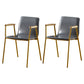Industrial Style Leather Dining Side Chairs Solid Back Armless Chairs for Home Use Grey 2 Piece Set Brass Gold Clearhalo ' kitchen&dining_furn' 'Dining Chairs' 'Dining Tables & Seating' 'dining_chair' 'furn' 'furn_dining_chair' 'Furniture' 'furniture_dining_chair' 'Kitchen & Dining Furniture' 'kitchen' 3755309