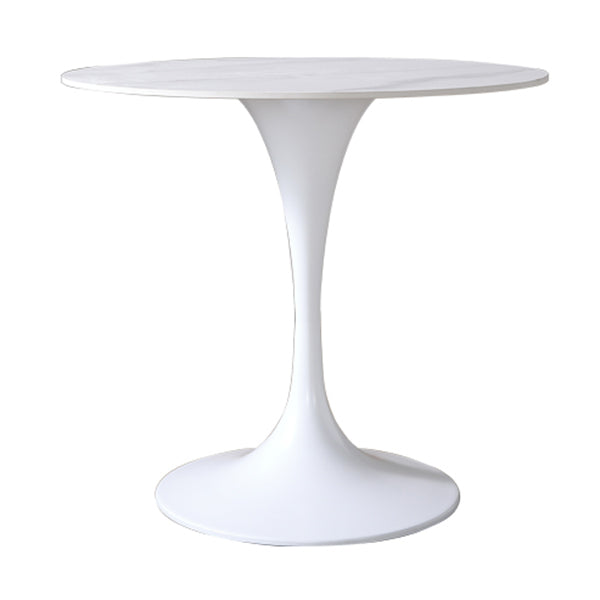 Round Sintered Stone White Dining Table Simplicity Tulip Base Table for Dining Room Without Chairs Clearhalo ' dining_table' 'Dining Tables & Seating' 'Dining Tables' 'furn' 'furn_dining_table' 'Furniture' 'furniture_dining_table' 'Kitchen & Dining Furniture' 'kitchen&dining_furn' 'kitchen' 'kitchen_dining_table' 3756317
