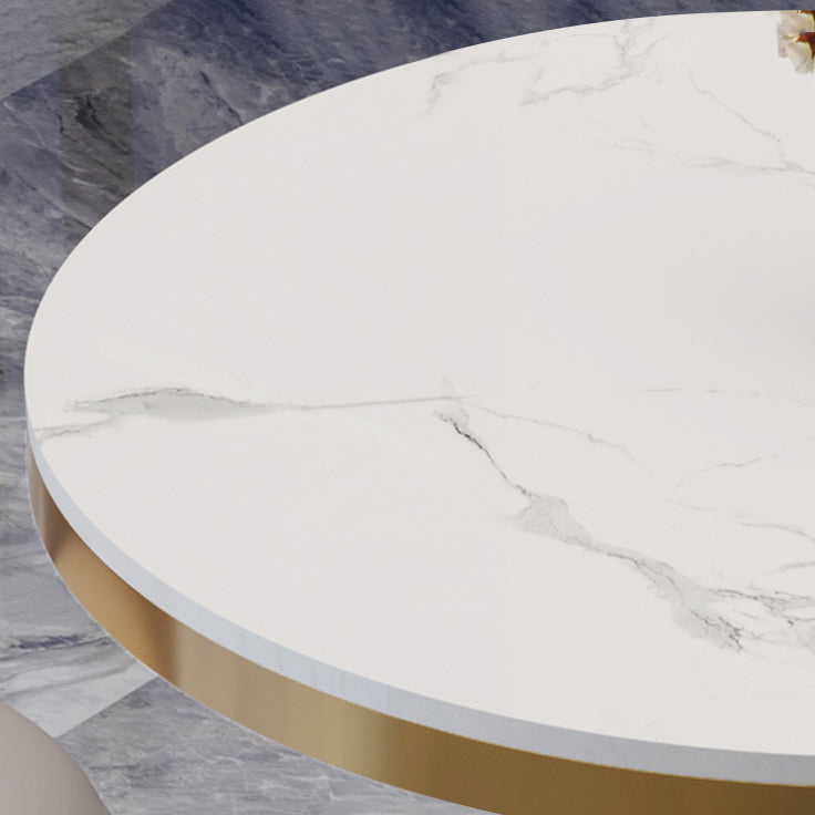 Traditional Luxury Round Dining Table Sintered Stone Dining Table with Pedestal Base Clearhalo ' dining_table' 'Dining Tables & Seating' 'Dining Tables' 'furn' 'furn_dining_table' 'Furniture' 'furniture_dining_table' 'Kitchen & Dining Furniture' 'kitchen&dining_furn' 'kitchen' 'kitchen_dining_table' 3757083