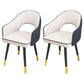 Scandinavian Style Metal Dining Chair Dining Room Open Back Dining Side Chair with Arm Blue-White 2 Piece Set Clearhalo ' kitchen&dining_furn' 'Dining Chairs' 'Dining Tables & Seating' 'dining_chair' 'furn' 'furn_dining_chair' 'Furniture' 'furniture_dining_chair' 'Kitchen & Dining Furniture' 'kitchen' 3779718
