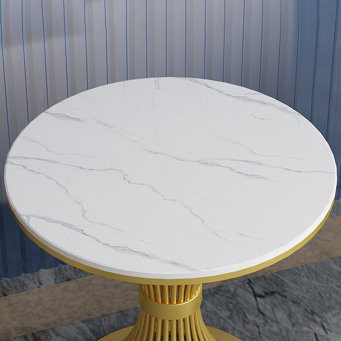 Traditional Luxury Round Dining Table White Sintered Stone Dining Table with Pedestal Base Clearhalo ' dining_table' 'Dining Tables & Seating' 'Dining Tables' 'furn' 'furn_dining_table' 'Furniture' 'furniture_dining_table' 'Kitchen & Dining Furniture' 'kitchen&dining_furn' 'kitchen' 'kitchen_dining_table' 3780073