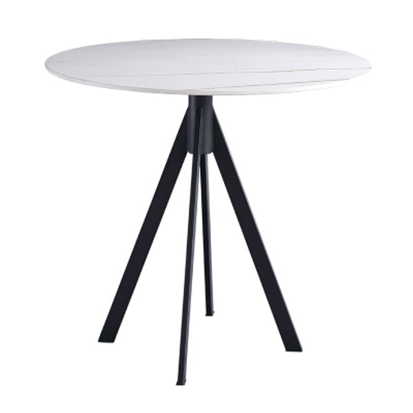 Round Sintered Stone Two-Color Dining Table Simplicity 4 Legs Table for Dining Room White Without Chairs Clearhalo ' dining_table' 'Dining Tables & Seating' 'Dining Tables' 'furn' 'furn_dining_table' 'Furniture' 'furniture_dining_table' 'Kitchen & Dining Furniture' 'kitchen&dining_furn' 'kitchen' 'kitchen_dining_table' 3780081