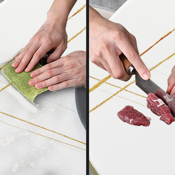 Metal Contemporary Round Dining Table Sintered Stone Table with Pedestal Base Clearhalo ' dining_table' 'Dining Tables & Seating' 'Dining Tables' 'furn' 'furn_dining_table' 'Furniture' 'furniture_dining_table' 'Kitchen & Dining Furniture' 'kitchen&dining_furn' 'kitchen' 'kitchen_dining_table' 3815719