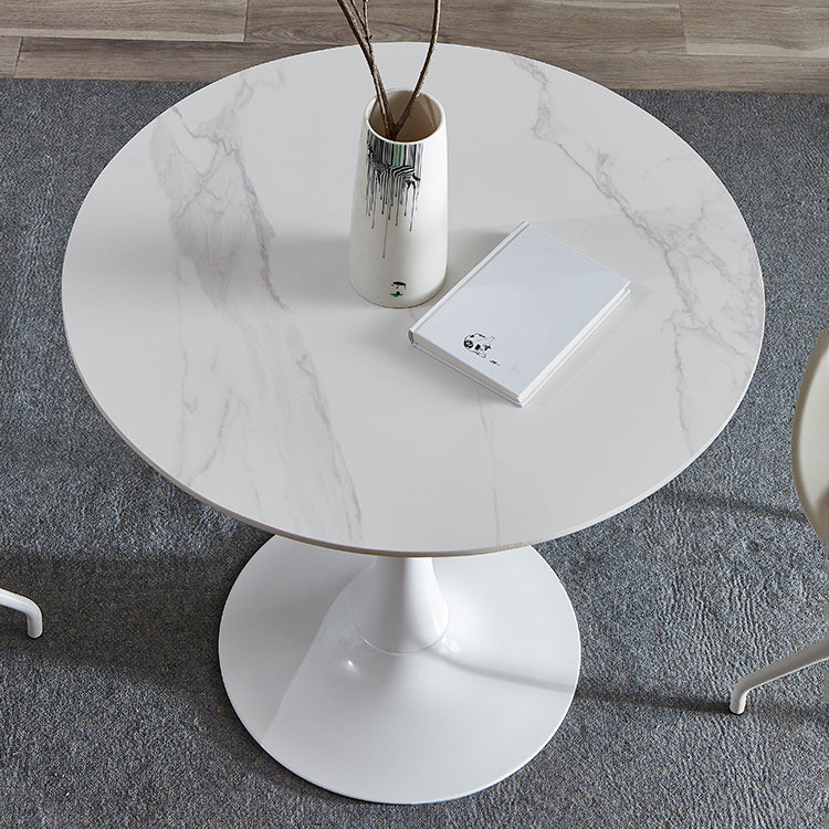 Round Sintered Stone White Dining Table Minimalist Tulip Base Table for Dining Room Clearhalo ' dining_table' 'Dining Tables & Seating' 'Dining Tables' 'furn' 'furn_dining_table' 'Furniture' 'furniture_dining_table' 'Kitchen & Dining Furniture' 'kitchen&dining_furn' 'kitchen' 'kitchen_dining_table' 3815853