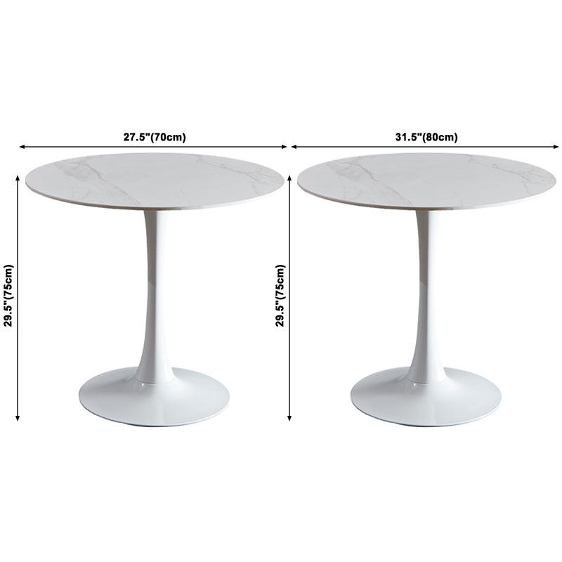 Round Sintered Stone White Dining Table Minimalist Tulip Base Table for Dining Room Clearhalo ' dining_table' 'Dining Tables & Seating' 'Dining Tables' 'furn' 'furn_dining_table' 'Furniture' 'furniture_dining_table' 'Kitchen & Dining Furniture' 'kitchen&dining_furn' 'kitchen' 'kitchen_dining_table' 3815859