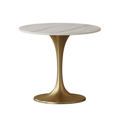 Round Tulip Base Home Furniture Traditional Luxury Stone Dining Room Collection Without Chairs Clearhalo ' dining_table' 'Dining Tables & Seating' 'Dining Tables' 'furn' 'furn_dining_table' 'Furniture' 'furniture_dining_table' 'Kitchen & Dining Furniture' 'kitchen&dining_furn' 'kitchen' 'kitchen_dining_table' 3816235