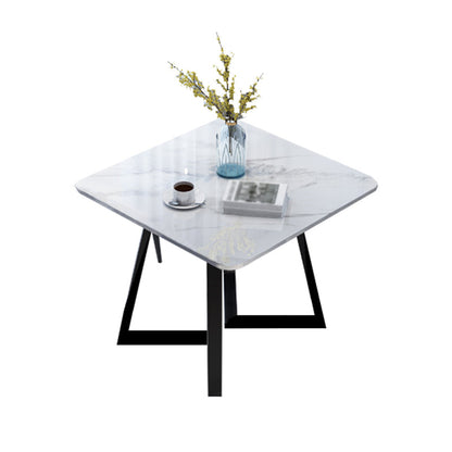 Square Industrial Dining Table White Tone Fixed Table with Sintered Stone Double Pedestal Without Chairs Clearhalo ' dining_table' 'Dining Tables & Seating' 'Dining Tables' 'furn' 'furn_dining_table' 'Furniture' 'furniture_dining_table' 'Kitchen & Dining Furniture' 'kitchen&dining_furn' 'kitchen' 'kitchen_dining_table' 3816261