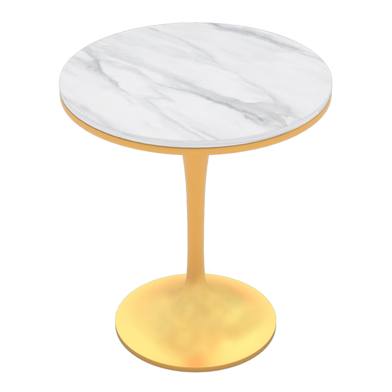 Traditional Luxury Stone Dining Table Round Dinette Table for Dining Room Tulip Without Chairs Clearhalo ' dining_table' 'Dining Tables & Seating' 'Dining Tables' 'furn' 'furn_dining_table' 'Furniture' 'furniture_dining_table' 'Kitchen & Dining Furniture' 'kitchen&dining_furn' 'kitchen' 'kitchen_dining_table' 3816742
