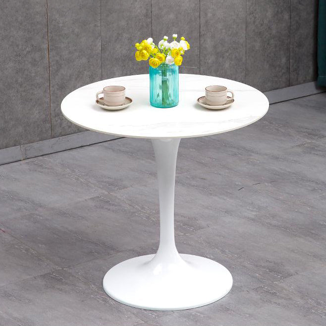 Modern Style Sintered Stone Scratch Resistant Dining Table Single Pedestal Base Round Table for Home Clearhalo ' dining_table' 'Dining Tables & Seating' 'Dining Tables' 'furn' 'furn_dining_table' 'Furniture' 'furniture_dining_table' 'Kitchen & Dining Furniture' 'kitchen&dining_furn' 'kitchen' 'kitchen_dining_table' 3816821