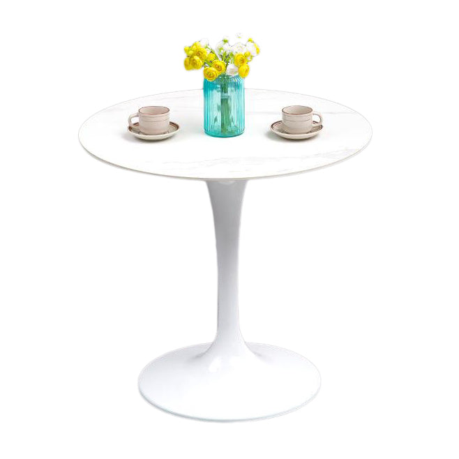 Modern Style Sintered Stone Scratch Resistant Dining Table Single Pedestal Base Round Table for Home Without Chairs Clearhalo ' dining_table' 'Dining Tables & Seating' 'Dining Tables' 'furn' 'furn_dining_table' 'Furniture' 'furniture_dining_table' 'Kitchen & Dining Furniture' 'kitchen&dining_furn' 'kitchen' 'kitchen_dining_table' 3816823