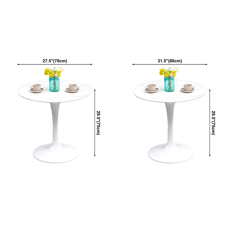 Modern Style Sintered Stone Scratch Resistant Dining Table Single Pedestal Base Round Table for Home Clearhalo ' dining_table' 'Dining Tables & Seating' 'Dining Tables' 'furn' 'furn_dining_table' 'Furniture' 'furniture_dining_table' 'Kitchen & Dining Furniture' 'kitchen&dining_furn' 'kitchen' 'kitchen_dining_table' 3816824