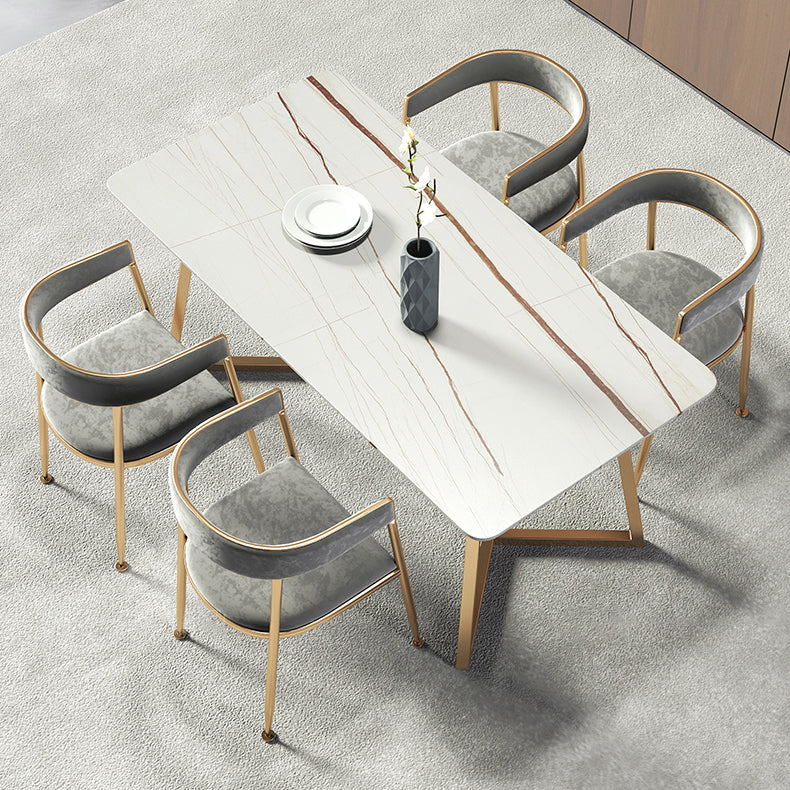 Metal Traditional Luxury Rectangle Table Sintered Stone Table with Sled Base Clearhalo ' dining_table' 'Dining Tables & Seating' 'Dining Tables' 'furn' 'furn_dining_table' 'Furniture' 'furniture_dining_table' 'Kitchen & Dining Furniture' 'kitchen&dining_furn' 'kitchen' 'kitchen_dining_table' 3816863