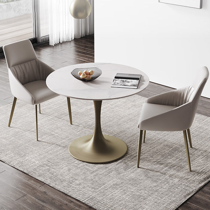 Round Tulip Base Dining Site Table Traditional Luxury Dinette Table for Home Clearhalo ' dining_table' 'Dining Tables & Seating' 'Dining Tables' 'furn' 'furn_dining_table' 'Furniture' 'furniture_dining_table' 'Kitchen & Dining Furniture' 'kitchen&dining_furn' 'kitchen' 'kitchen_dining_table' 3816933