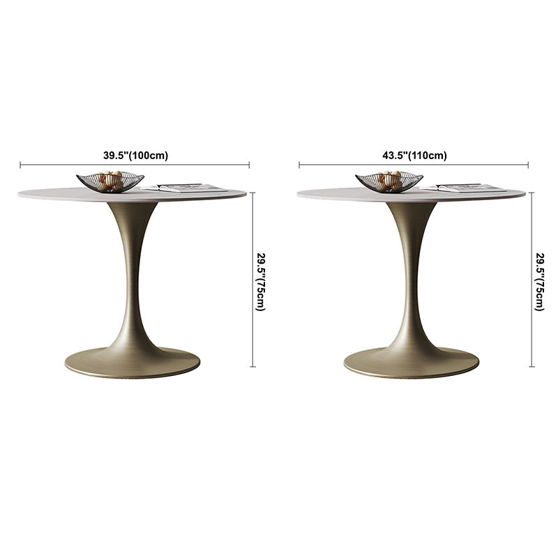 Round Tulip Base Dining Site Table Traditional Luxury Dinette Table for Home Clearhalo ' dining_table' 'Dining Tables & Seating' 'Dining Tables' 'furn' 'furn_dining_table' 'Furniture' 'furniture_dining_table' 'Kitchen & Dining Furniture' 'kitchen&dining_furn' 'kitchen' 'kitchen_dining_table' 3816943