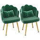 Modern Dining Side Chair with Metal Legs Solid Back Armchair for Home Use Blackish Green 2 Piece Set Brass Gold Clearhalo ' kitchen&dining_furn' 'Dining Chairs' 'Dining Tables & Seating' 'dining_chair' 'furn' 'furn_dining_chair' 'Furniture' 'furniture_dining_chair' 'Kitchen & Dining Furniture' 'kitchen' 3825454