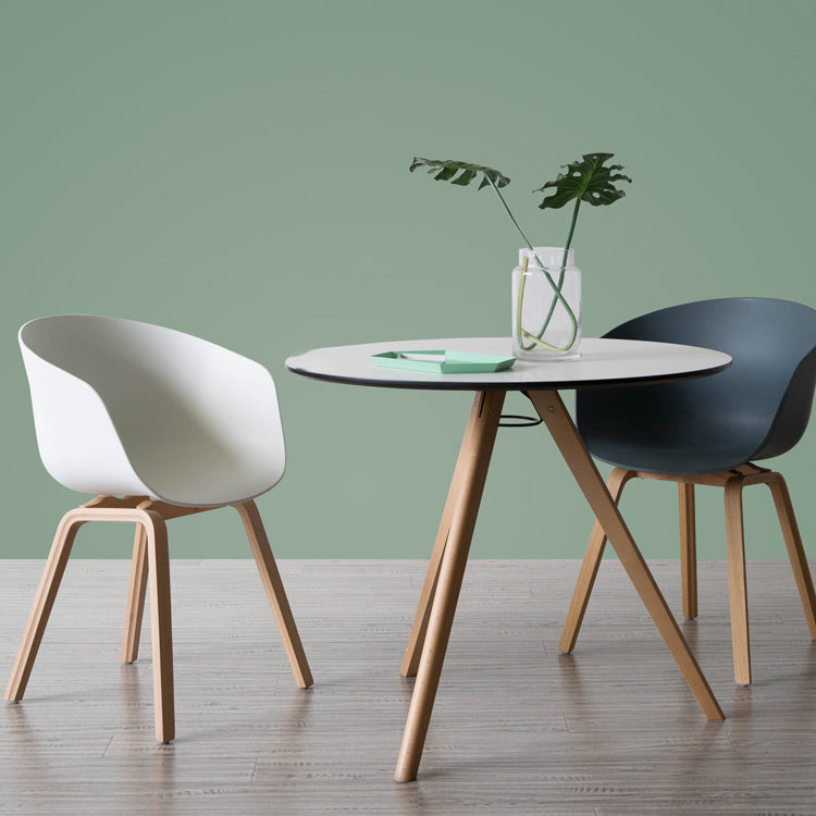 Contemporary Style Plastic Dining Room Chair Kitchen Arm Chair with Wooden Legs Clearhalo ' kitchen&dining_furn' 'Dining Chairs' 'Dining Tables & Seating' 'dining_chair' 'Furniture' 'furniture_dining_chair' 'Kitchen & Dining Furniture' 'kitchen' 3826053