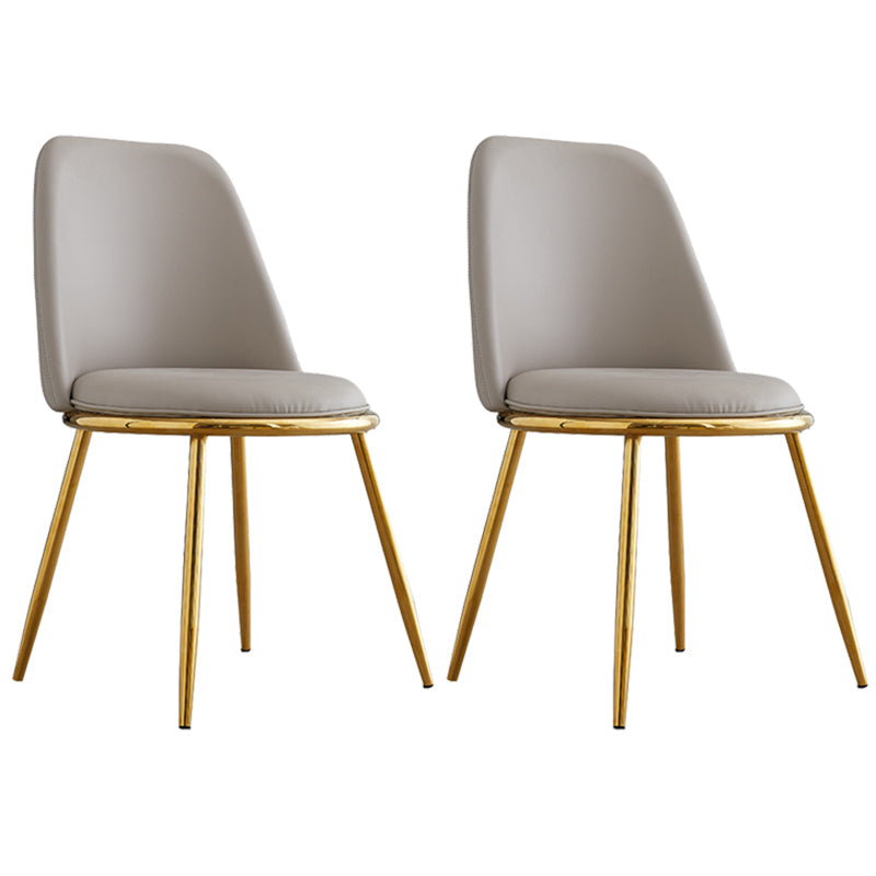 Leather Scandinavian Restaurant Side Chair Parsons Matte Finish Dining Chair Light Gray 2 Piece Set Brass Gold Clearhalo ' kitchen&dining_furn' 'Dining Chairs' 'Dining Tables & Seating' 'dining_chair' 'furn' 'furn_dining_chair' 'Furniture' 'furniture_dining_chair' 'Kitchen & Dining Furniture' 'kitchen' 3826218