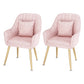 Scandinavian Style Metal Dining Chairs Coffee Shop Cushion Chair with Arm Light Pink 2 Piece Set Brass Gold Clearhalo ' kitchen&dining_furn' 'Dining Chairs' 'Dining Tables & Seating' 'dining_chair' 'furn' 'furn_dining_chair' 'Furniture' 'furniture_dining_chair' 'Kitchen & Dining Furniture' 'kitchen' 3826431