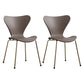 Contemporary Style Metal Chairs Kitchen Dining Solid Back Sides Chair Set Coffee 2 Piece Set Brass Gold Clearhalo ' kitchen&dining_furn' 'Dining Chairs' 'Dining Tables & Seating' 'dining_chair' 'furn' 'furn_dining_chair' 'Furniture' 'furniture_dining_chair' 'Kitchen & Dining Furniture' 'kitchen' 3826453
