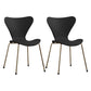 Contemporary Style Metal Chairs Kitchen Dining Solid Back Sides Chair Set Black 2 Piece Set Brass Gold Clearhalo ' kitchen&dining_furn' 'Dining Chairs' 'Dining Tables & Seating' 'dining_chair' 'furn' 'furn_dining_chair' 'Furniture' 'furniture_dining_chair' 'Kitchen & Dining Furniture' 'kitchen' 3826457