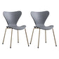 Contemporary Style Metal Chairs Kitchen Dining Solid Back Sides Chair Set Grey 2 Piece Set Brass Gold Clearhalo ' kitchen&dining_furn' 'Dining Chairs' 'Dining Tables & Seating' 'dining_chair' 'furn' 'furn_dining_chair' 'Furniture' 'furniture_dining_chair' 'Kitchen & Dining Furniture' 'kitchen' 3826478