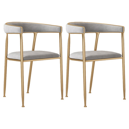 Flannelette Scandinavian Beauty Salon Arm Chair Open Matte Finish Dining Chair Grey 2 Piece Set Clearhalo ' kitchen&dining_furn' 'Dining Chairs' 'Dining Tables & Seating' 'dining_chair' 'furn' 'furn_dining_chair' 'Furniture' 'furniture_dining_chair' 'Kitchen & Dining Furniture' 'kitchen' 3827907