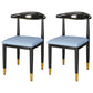 Metal Contemporary Style Dining Side Chair Indoor Open Back Dining Side Chair Blue 2 Piece Set Clearhalo ' kitchen&dining_furn' 'Dining Chairs' 'Dining Tables & Seating' 'dining_chair' 'furn' 'furn_dining_chair' 'Furniture' 'furniture_dining_chair' 'Kitchen & Dining Furniture' 'kitchen' 3835556