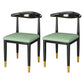 Metal Contemporary Style Dining Side Chair Indoor Open Back Dining Side Chair Green 2 Piece Set Clearhalo ' kitchen&dining_furn' 'Dining Chairs' 'Dining Tables & Seating' 'dining_chair' 'furn' 'furn_dining_chair' 'Furniture' 'furniture_dining_chair' 'Kitchen & Dining Furniture' 'kitchen' 3835559