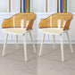 Glam Style Transparent Acrylic Arm Chair Multicolor Dining Arm Chair for Home Tan Set of 2 Clearhalo ' kitchen&dining_furn' 'Dining Chairs' 'Dining Tables & Seating' 'dining_chair' 'Furniture' 'furniture_dining_chair' 'Kitchen & Dining Furniture' 'kitchen' 3836109