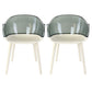 Glam Style Transparent Acrylic Arm Chair Multicolor Dining Arm Chair for Home Grey Set of 2 Clearhalo ' kitchen&dining_furn' 'Dining Chairs' 'Dining Tables & Seating' 'dining_chair' 'Furniture' 'furniture_dining_chair' 'Kitchen & Dining Furniture' 'kitchen' 3836112