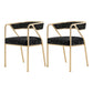 Modern Velvet Dining Chair 30''H Open Back Dining Side Chair with Metal Base for Restaurant Black 2 Piece Set Brass Gold Clearhalo ' kitchen&dining_furn' 'Dining Chairs' 'Dining Tables & Seating' 'dining_chair' 'furn' 'furn_dining_chair' 'Furniture' 'furniture_dining_chair' 'Kitchen & Dining Furniture' 'kitchen' 3836254