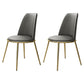 Contemporary Style Metal Chair Set Kitchen Dining Solid Back Side Chairs (Set of 2) Dark Gray Brass Gold Clearhalo ' kitchen&dining_furn' 'Dining Chairs' 'Dining Tables & Seating' 'dining_chair' 'furn' 'furn_dining_chair' 'Furniture' 'furniture_dining_chair' 'Kitchen & Dining Furniture' 'kitchen' 3847238