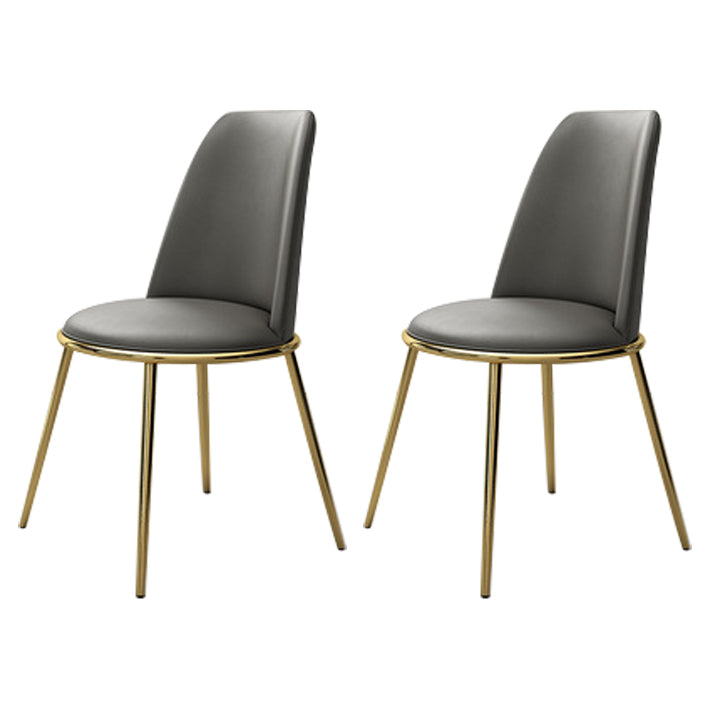 Contemporary Style Metal Chair Set Kitchen Dining Solid Back Side Chairs (Set of 2) Dark Gray Brass Gold Clearhalo ' kitchen&dining_furn' 'Dining Chairs' 'Dining Tables & Seating' 'dining_chair' 'furn' 'furn_dining_chair' 'Furniture' 'furniture_dining_chair' 'Kitchen & Dining Furniture' 'kitchen' 3847238