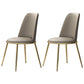 Contemporary Style Metal Chair Set Kitchen Dining Solid Back Side Chairs (Set of 2) Light Gray Brass Gold Clearhalo ' kitchen&dining_furn' 'Dining Chairs' 'Dining Tables & Seating' 'dining_chair' 'furn' 'furn_dining_chair' 'Furniture' 'furniture_dining_chair' 'Kitchen & Dining Furniture' 'kitchen' 3847241