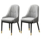 Metal Scandinavian Style Dining Chair Parsons Dining Room Arm Chair for Home Grey 2 Piece Set Clearhalo ' kitchen&dining_furn' 'Dining Chairs' 'Dining Tables & Seating' 'dining_chair' 'furn' 'furn_dining_chair' 'Furniture' 'furniture_dining_chair' 'Kitchen & Dining Furniture' 'kitchen' 3852158