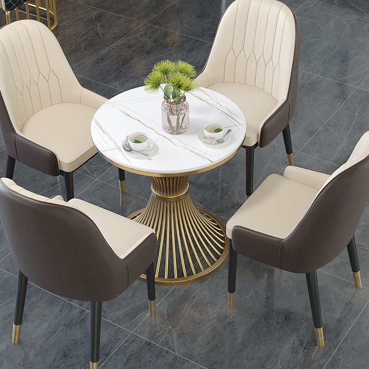 Metal Scandinavian Style Dining Chair Parsons Dining Side Chair for Restaurant Clearhalo ' kitchen&dining_furn' 'Dining Chairs' 'Dining Tables & Seating' 'dining_chair' 'furn' 'furn_dining_chair' 'Furniture' 'furniture_dining_chair' 'Kitchen & Dining Furniture' 'kitchen' 3852484