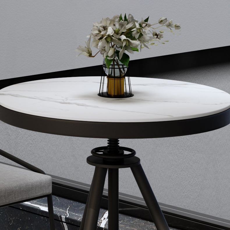 Modern Style Home Sintered Stone Dining Table Round Shape Table with Single Pedestal Base Clearhalo ' dining_table' 'Dining Tables & Seating' 'Dining Tables' 'furn' 'furn_dining_table' 'Furniture' 'furniture_dining_table' 'Kitchen & Dining Furniture' 'kitchen&dining_furn' 'kitchen' 'kitchen_dining_table' 3854722