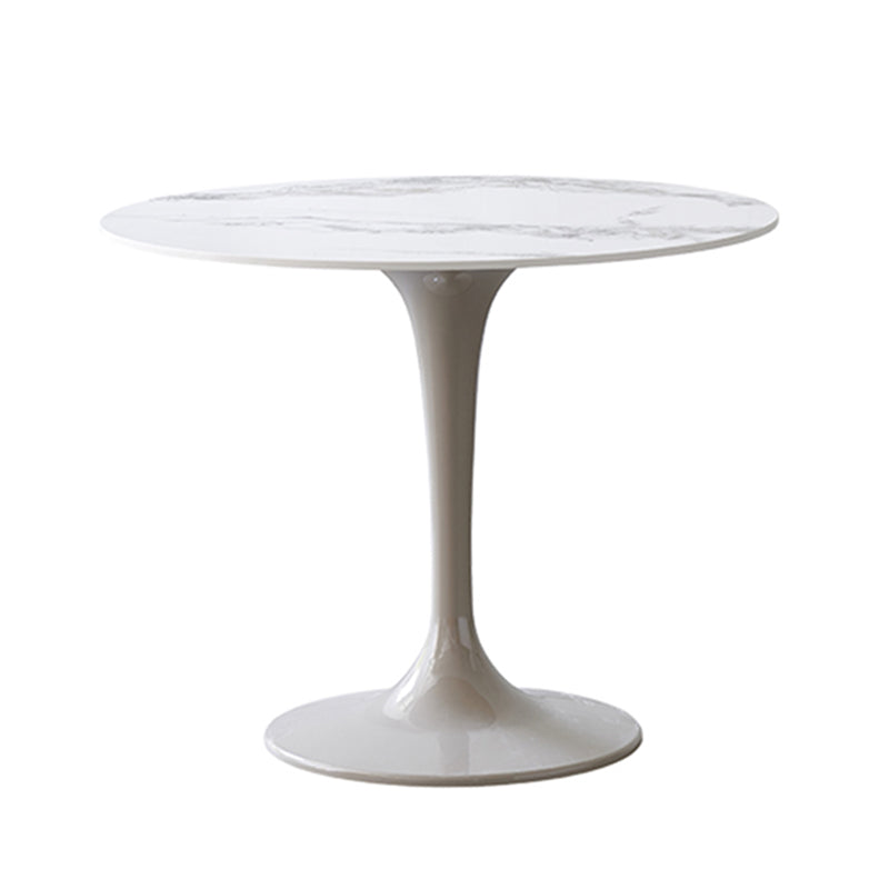 Contemporary Style Home Sintered Stone Dining Table Round Table with Tulip Base Without Chairs Clearhalo ' dining_table' 'Dining Tables & Seating' 'Dining Tables' 'furn' 'furn_dining_table' 'Furniture' 'furniture_dining_table' 'Kitchen & Dining Furniture' 'kitchen&dining_furn' 'kitchen' 'kitchen_dining_table' 3854747