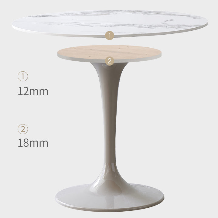 Contemporary Style Home Sintered Stone Dining Table Round Table with Tulip Base Clearhalo ' dining_table' 'Dining Tables & Seating' 'Dining Tables' 'furn' 'furn_dining_table' 'Furniture' 'furniture_dining_table' 'Kitchen & Dining Furniture' 'kitchen&dining_furn' 'kitchen' 'kitchen_dining_table' 3854748