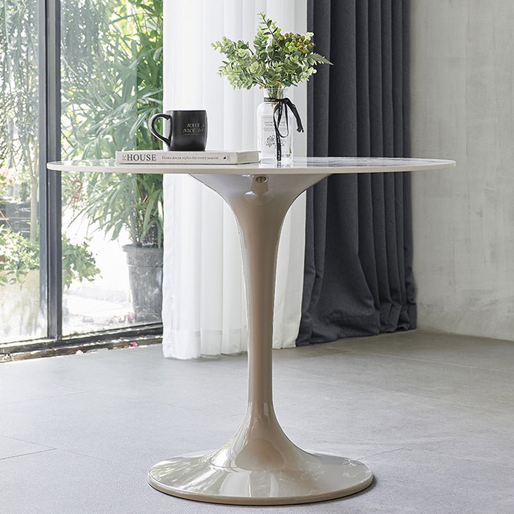 Contemporary Style Home Sintered Stone Dining Table Round Table with Tulip Base Clearhalo ' dining_table' 'Dining Tables & Seating' 'Dining Tables' 'furn' 'furn_dining_table' 'Furniture' 'furniture_dining_table' 'Kitchen & Dining Furniture' 'kitchen&dining_furn' 'kitchen' 'kitchen_dining_table' 3854753