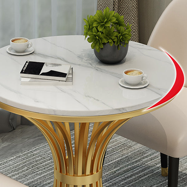 Simple Style Home Sintered Stone Dining Table Round Shape Table with Metallic Pedestal Base Clearhalo ' dining_table' 'Dining Tables & Seating' 'Dining Tables' 'furn' 'furn_dining_table' 'Furniture' 'furniture_dining_table' 'Kitchen & Dining Furniture' 'kitchen&dining_furn' 'kitchen' 'kitchen_dining_table' 3854795