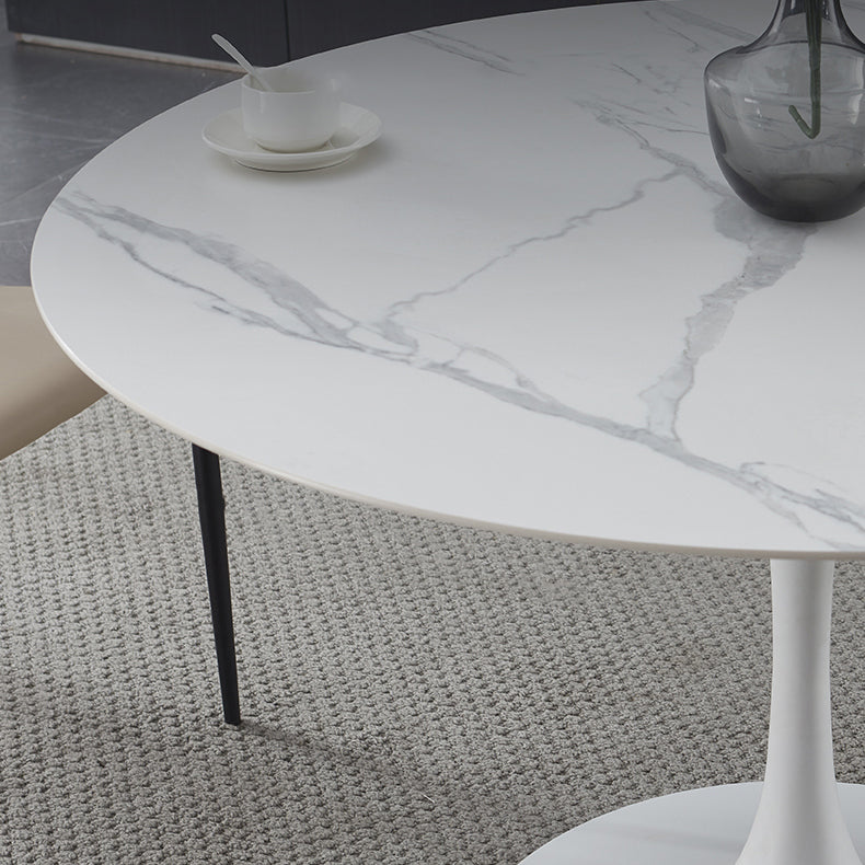 Minimalist Sintered Stone Dining Table Round Shape Kitchen Dining Table with Tulip Base Clearhalo ' dining_table' 'Dining Tables & Seating' 'Dining Tables' 'furn' 'furn_dining_table' 'Furniture' 'furniture_dining_table' 'Kitchen & Dining Furniture' 'kitchen&dining_furn' 'kitchen' 'kitchen_dining_table' 3855134