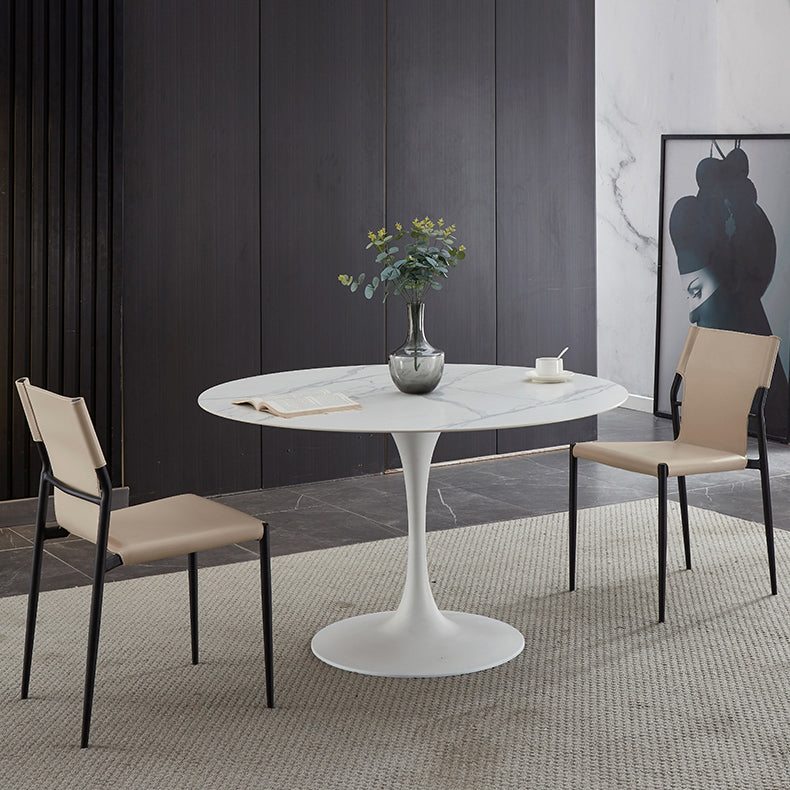Minimalist Sintered Stone Dining Table Round Shape Kitchen Dining Table with Tulip Base Clearhalo ' dining_table' 'Dining Tables & Seating' 'Dining Tables' 'furn' 'furn_dining_table' 'Furniture' 'furniture_dining_table' 'Kitchen & Dining Furniture' 'kitchen&dining_furn' 'kitchen' 'kitchen_dining_table' 3855137