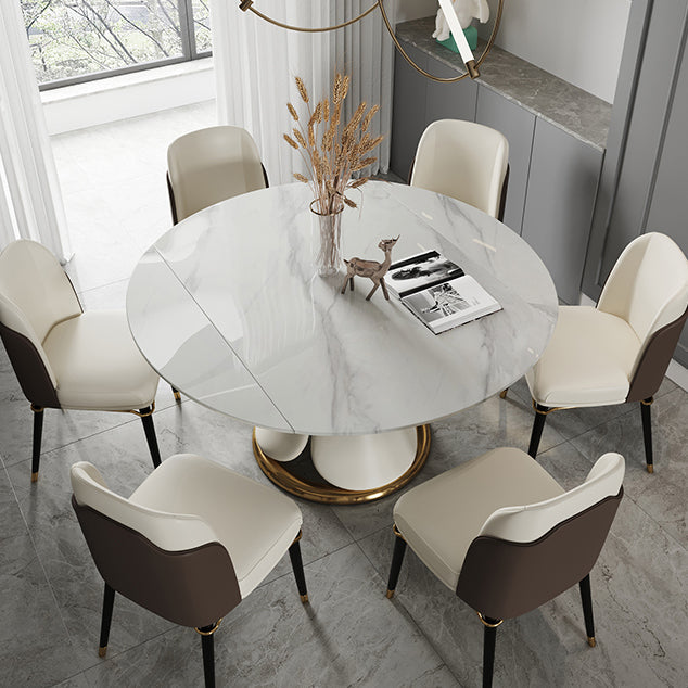 Traditional Luxury Round Dining Table Sintered Stone Table with Pedestal Base Clearhalo ' dining_table' 'Dining Tables & Seating' 'Dining Tables' 'furn' 'furn_dining_table' 'Furniture' 'furniture_dining_table' 'Kitchen & Dining Furniture' 'kitchen&dining_furn' 'kitchen' 'kitchen_dining_table' 3855302