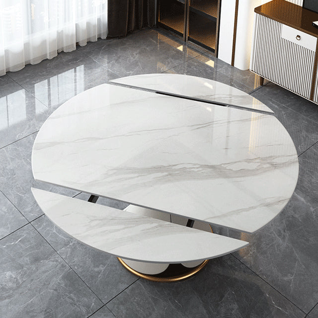 Traditional Luxury Round Dining Table Sintered Stone Table with Pedestal Base Clearhalo ' dining_table' 'Dining Tables & Seating' 'Dining Tables' 'furn' 'furn_dining_table' 'Furniture' 'furniture_dining_table' 'Kitchen & Dining Furniture' 'kitchen&dining_furn' 'kitchen' 'kitchen_dining_table' 3855307