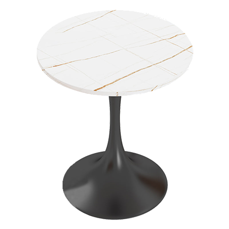 Traditional Luxury Round Table Stone Dining Room Collection for Indoor Black Without Chairs Clearhalo ' dining_table' 'Dining Tables & Seating' 'Dining Tables' 'furn' 'furn_dining_table' 'Furniture' 'furniture_dining_table' 'Kitchen & Dining Furniture' 'kitchen&dining_furn' 'kitchen' 'kitchen_dining_table' 3855390