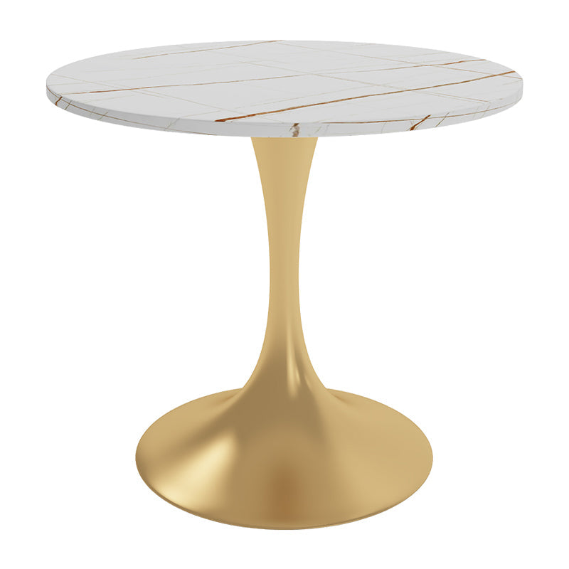 Traditional Luxury Round Table Stone Dining Room Collection for Indoor Gold Without Chairs Clearhalo ' dining_table' 'Dining Tables & Seating' 'Dining Tables' 'furn' 'furn_dining_table' 'Furniture' 'furniture_dining_table' 'Kitchen & Dining Furniture' 'kitchen&dining_furn' 'kitchen' 'kitchen_dining_table' 3855394