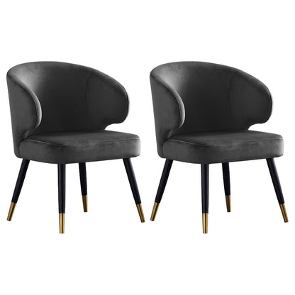 Modern Style Wingback Dining Chairs Velvet Upholstered Dining Chairs for Home Use (Set of 2) Grey Clearhalo ' kitchen&dining_furn' 'Dining Chairs' 'Dining Tables & Seating' 'dining_chair' 'furn' 'furn_dining_chair' 'Furniture' 'furniture_dining_chair' 'Kitchen & Dining Furniture' 'kitchen' 3858875